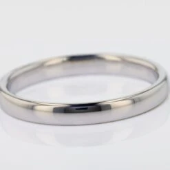 Alliance Sirona Demi Jonc Or Blanc -Garmin Soldes B3AMBW01PR view3