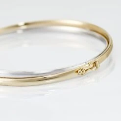 Bracelet Jonc Catalin 2 Fils Flexibles Or Bicolore -Garmin Soldes B3BF2W0372 view2