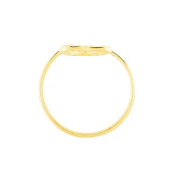 Bague Lovana Or Jaune Oxyde De Zirconium -Garmin Soldes B3DFJZW001 view2