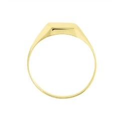 Chevalière Ayliz Or Jaune -Garmin Soldes B3HMJW0208 view2