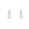 Boucles D'oreilles Pendantes Micheline Or Bicolore Oxyde De Zirconium