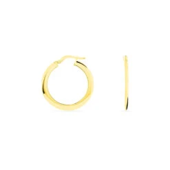 Créoles Suzana Or Jaune -Garmin Soldes B3OFJW0086 view2