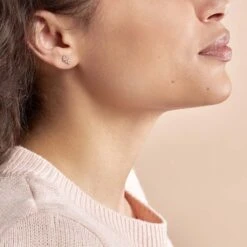 Boucles D'oreilles Puces Edma Or Rose Oxyde De Zirconium -Garmin Soldes B3OFRZW003 model0