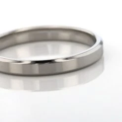 Alliance Aristote Ruban Plat Palladium Blanc -Garmin Soldes BEAFBW0577 view3