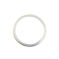 Alliance Leandro Ruban Argent Bicolore 10 Alliance Leandro Ruban Argent Bicolore -Garmin Soldes FAAM2W0154 view2