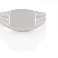 Chevalière Argent Blanc Charites -Garmin Soldes FADHBW0048 view3