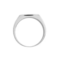 Bague Otylia Argent Blanc Oxyde De Zirconium -Garmin Soldes FADMBZN002 view2