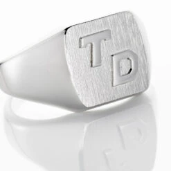 Chevaliere Argent Gringoire Carree -Garmin Soldes FAHFBW0141 view3