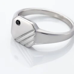 Chevalière Kaden Argent Blanc Oxyde De Zirconium Noir -Garmin Soldes FAHHAZN001 view3