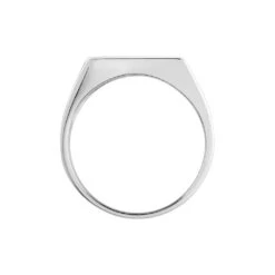 Chevalière Robin Argent Blanc -Garmin Soldes FAHHBW0356 view2