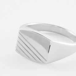 Chevalière Robin Argent Blanc -Garmin Soldes FAHHBW0356 view3