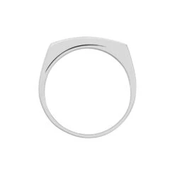 Chevalière Michel Argent Blanc Oxyde De Zirconium -Garmin Soldes FAHHBZW009 view2