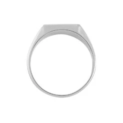 Chevalière Nataniel Argent Blanc Oxyde De Zirconium -Garmin Soldes FAHHBZW010 view2