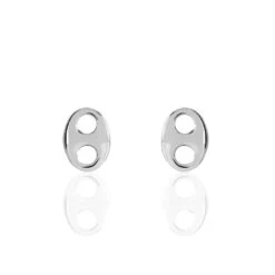 Boucles D'oreilles Puces Sherry Argent Blanc