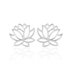 Boucles D'oreilles Puces Rosita Argent Blanc