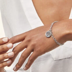 Bracelet Acier Blanc Ganet -Garmin Soldes FIBFBW0395 model1