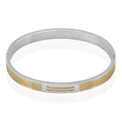 Bracelet Jonc Fermé Acier Blanc Et Plaqué Or Apollo