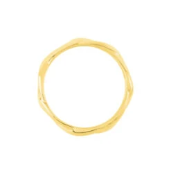 Bague Aissata Acier Dore -Garmin Soldes FIDFJW0195 view2