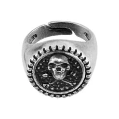 Bague Kaley Acier Blanc -Garmin Soldes FIDHBW0312 view1