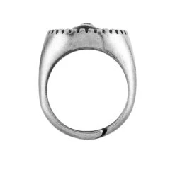 Bague Kaley Acier Blanc -Garmin Soldes FIDHBW0312 view2