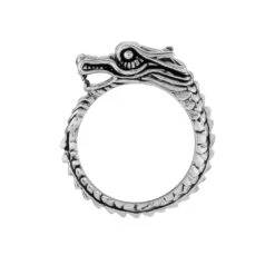 Bague Lacme Acier Blanc -Garmin Soldes FIDHBW0314 view2