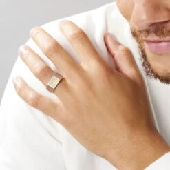 Chevalière Acier Blanc Et Plaqué Or Apollo -Garmin Soldes FIHHBW0147 model0