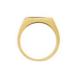 Chevalière Acier Doré Luciano -Garmin Soldes FIHHJW0043 view2