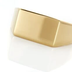 Chevalière Acier Doré Luciano -Garmin Soldes FIHHJW0043 view3