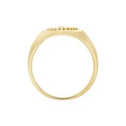 Chevalière Plaqué Or Jaune Ignazio Oxyde De Zirconium 10 Chevalière Plaqué Or Jaune Ignazio Oxyde De Zirconium -Garmin Soldes FQHFJZW122 view2