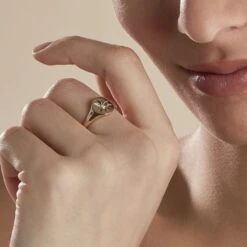 Chevalière Plaqué Or Crepinien Oxyde De Zirconium -Garmin Soldes FQHFJZW125 model1