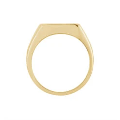 Chevalière Kauai Plaqué Or Jaune Pierre De Synthese 8 Chevalière Kauai Plaqué Or Jaune Pierre De Synthese -Garmin Soldes FQHHJNN109 view2