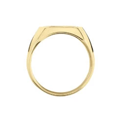 Chevalière Leoncette Plaqué Or Jaune -Garmin Soldes FQHHJW0111 view2