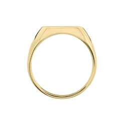 Chevalière Zoey Plaqué Or Jaune -Garmin Soldes FQHHJW0119 view2