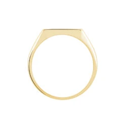 Chevalière Lionel Plaqué Or Jaune -Garmin Soldes FQHHJW0128 view2