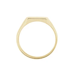 Chevalière Rafael Plaqué Or Jaune -Garmin Soldes FQHHJW0129 view2