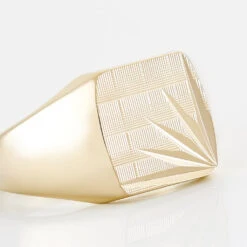 Chevalière Rafael Plaqué Or Jaune -Garmin Soldes FQHHJW0129 view3