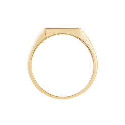 Chevalière Cillian Plaqué Or Jaune -Garmin Soldes FQHHJW0132 view2