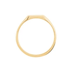 Chevalière Daniel Plaqué Or Jaune 9 Chevalière Daniel Plaqué Or Jaune -Garmin Soldes FQHHJW0133 view2