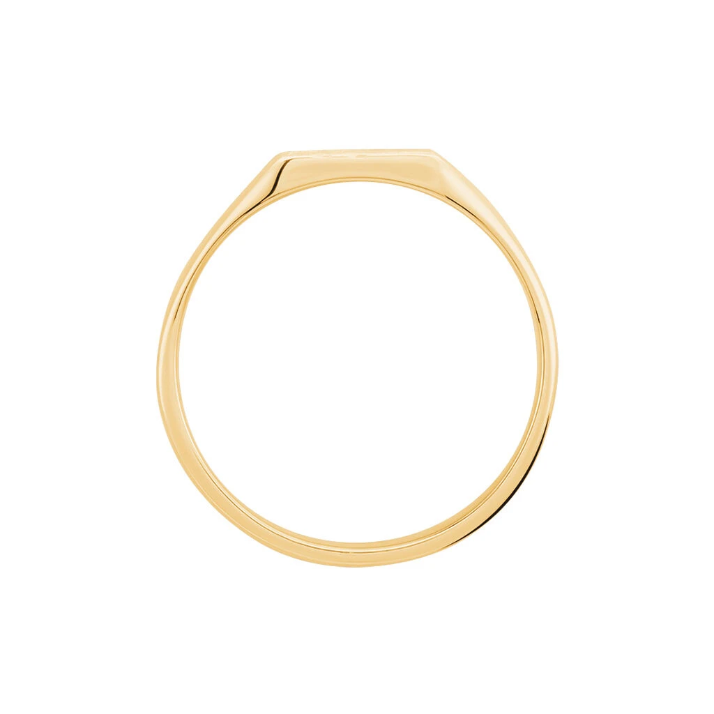 Chevalière Daniel Plaqué Or Jaune 5 Chevalière Daniel Plaqué Or Jaune – Image 3