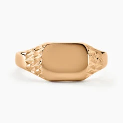 Chevalière Leons Plaqué Or