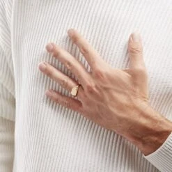 Chevalière Leons Plaqué Or -Garmin Soldes FQHHJW0141 model0