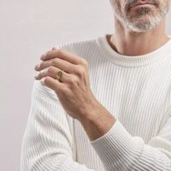 Chevalière Leons Plaqué Or -Garmin Soldes FQHHJW0141 model1