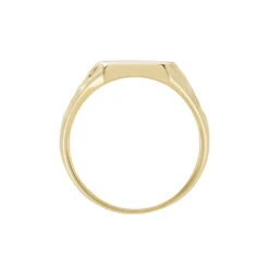 Chevalière Leons Plaqué Or -Garmin Soldes FQHHJW0141 view2