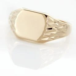 Chevalière Leons Plaqué Or -Garmin Soldes FQHHJW0141 view3