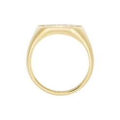 Chevalière Gautier Plaqué Or -Garmin Soldes FQHHJW0143 view2