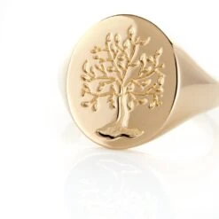 Chevalière Gautier Plaqué Or -Garmin Soldes FQHHJW0143 view3