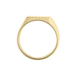 Chevalière Plaqué Or Corentin -Garmin Soldes FQHHJW0148 view2