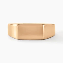 Chevalière Plaqué Or Jaune Alfonso