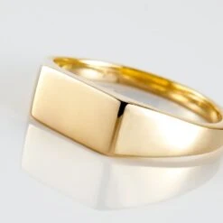 Chevalière Plaqué Or Jaune Alfonso -Garmin Soldes FQHHJW0149 view3