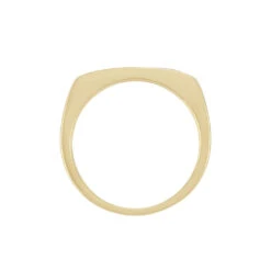 Chevaliere Plaqué Or Gregh Email -Garmin Soldes FQHHJWN001 view2